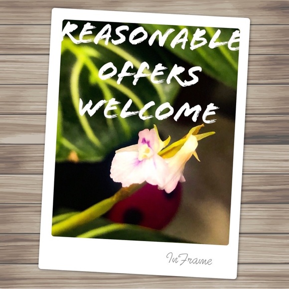 Offers welcome - Picture 2 of 2